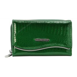 5245-2 Portfel